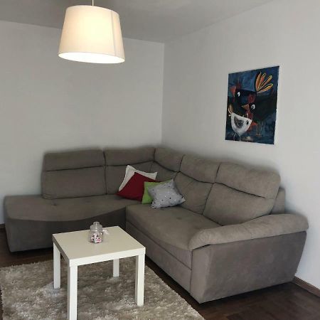 Apartment Safran Novigrad Istria 外观 照片
