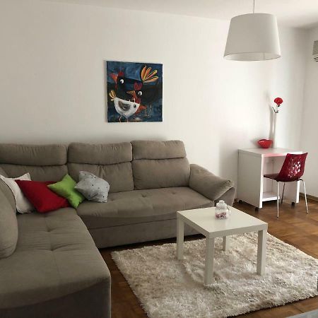Apartment Safran Novigrad Istria 外观 照片