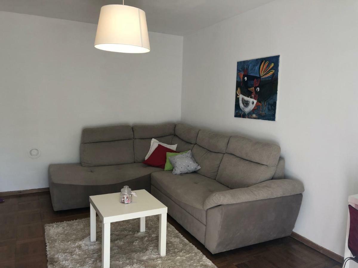 Apartment Safran Novigrad Istria 外观 照片