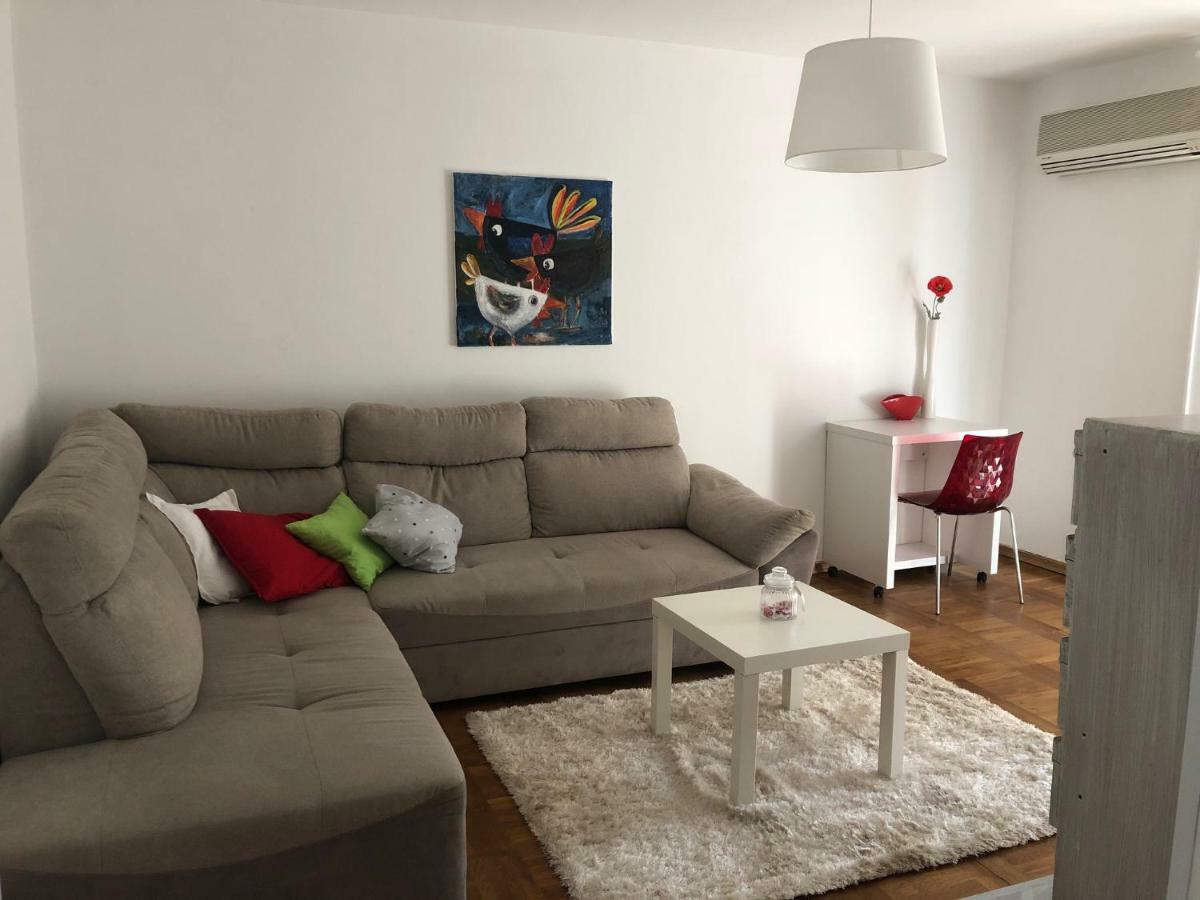 Apartment Safran Novigrad Istria 外观 照片