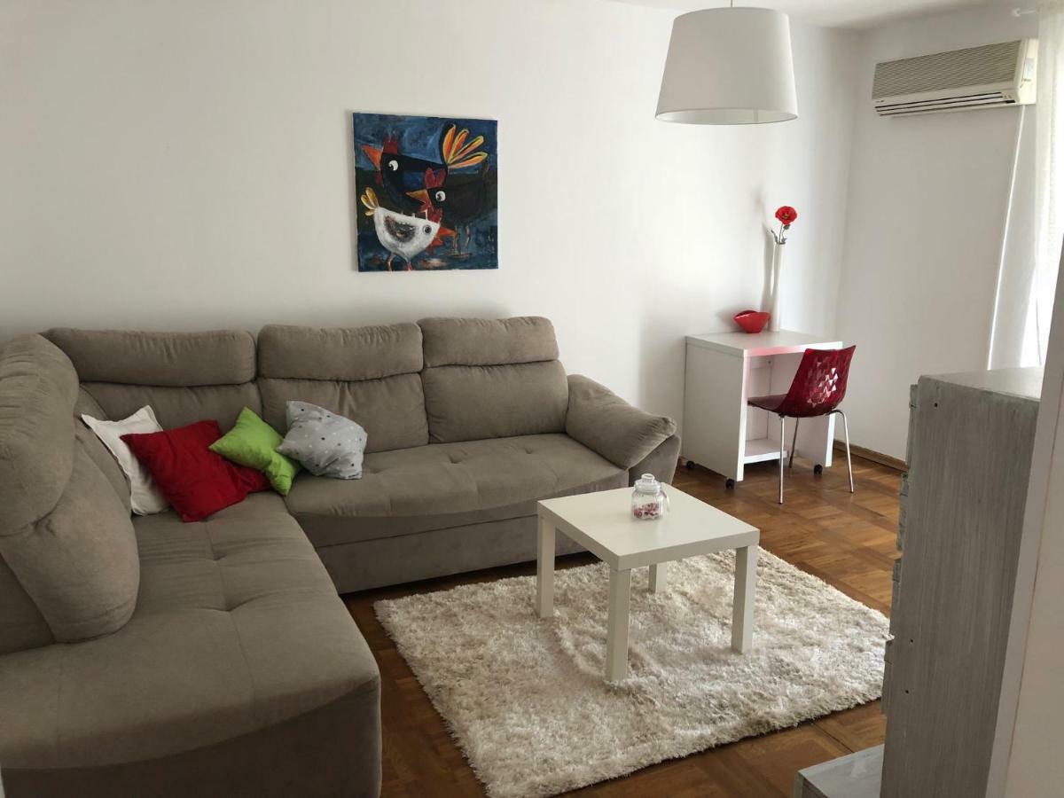 Apartment Safran Novigrad Istria 外观 照片